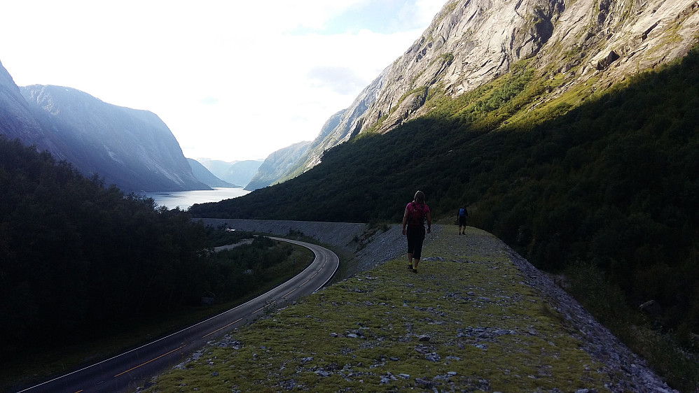 Det funker å bruke rasvollen tilbake til kajakkane i eit tryggere trafikkbilde! Men, eigentlig synest eg det er ei vanvittig stygg skjerding inn i denne ville naturen her i Kjøsnesfjorden/Lundebotnen! 