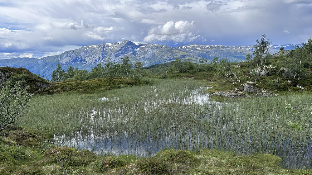 Staselig å russle turer etter eit så vilt øyeblikk & stund!