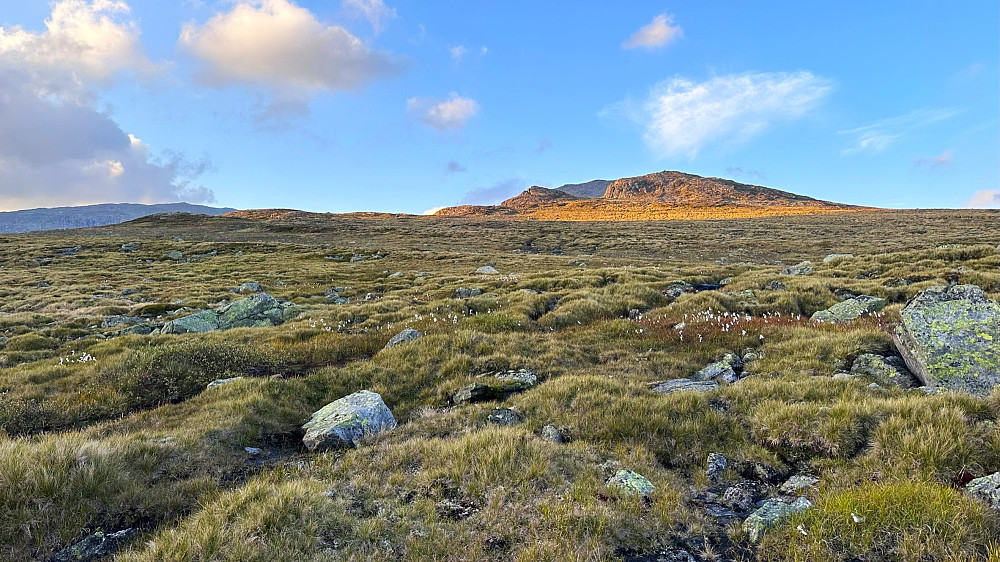 Siste kveldsol og tilbakeblikk etter 3 mils runde i Aurlandsfjella før Grindaflethytta og stille ro der.