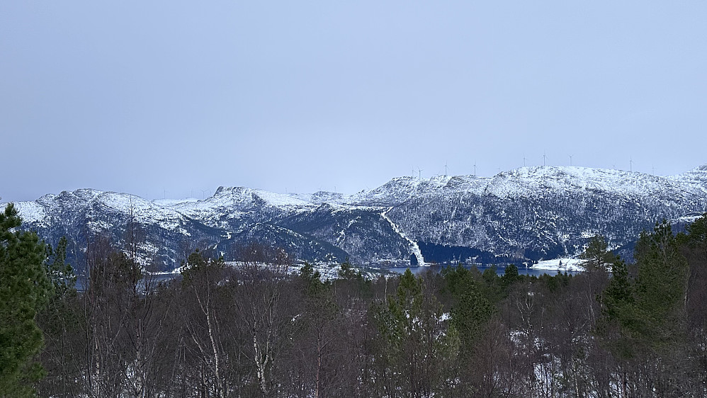 Vindmøllene ved Guleslettene og like ved Sagavatnet 360 moh som er drikkevatnet til Florø 