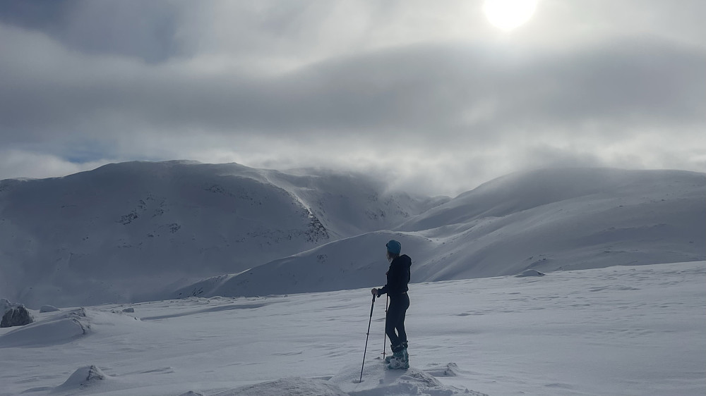 Ifrå Olahansfjellet mot fint skue til Grovabreen