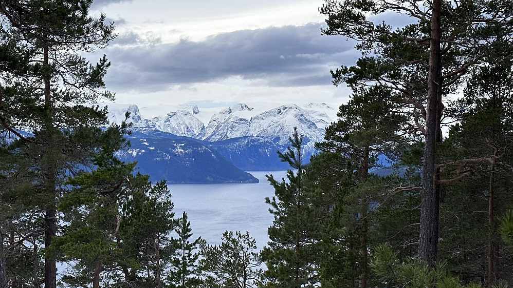 Stille og fint ifrå toppen av Amleholten 