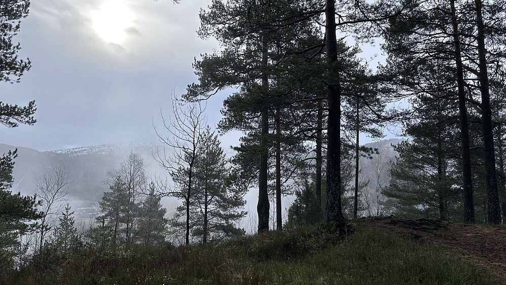 Ei fin lita runde på Kletten idag! Mykje bra på timeplanen idag! �