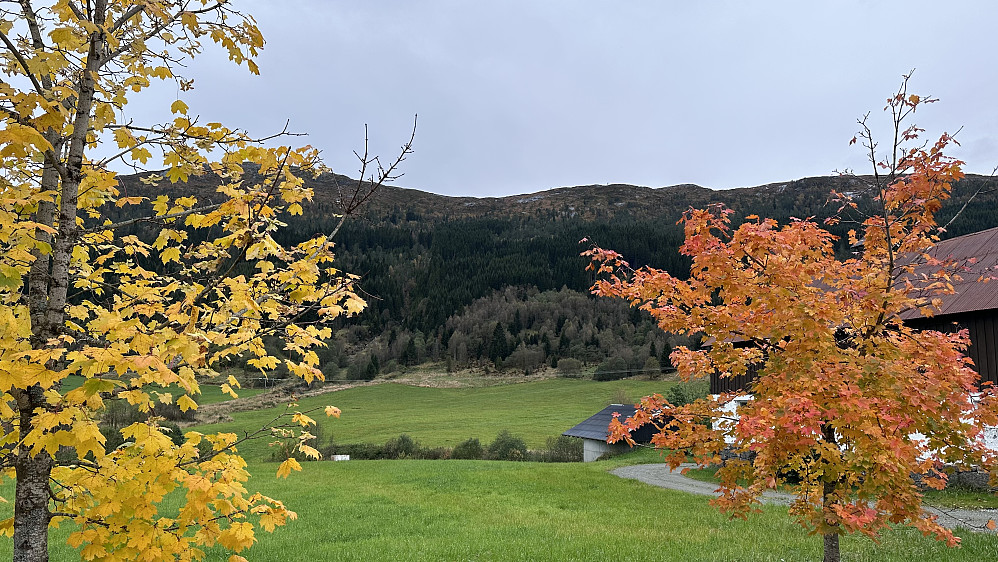 Haust i Øvsttunet