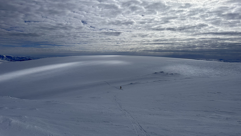 Fresvikbreen
