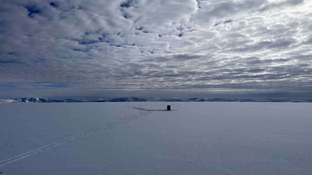 Fresvikbreen