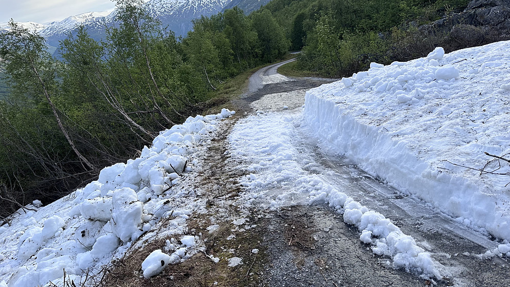Ei fonn å jobbe seg gjennom :) No ligg spaden som fast interiør i bilen, etter å ha brukt ei Fisher & ei Åsnes ski som hjelpe verktøy gjennom fonna! :) Innsatsen gjennom fonna ga ro litt lengre oppe & eit lekkert utgangspunkt til neste dags turmål.  Fisher fjellski kom best ut av blokk utskjæringa:) Åsnes skia sine stålkanter sprika i protest etter arbeidsøkta! …