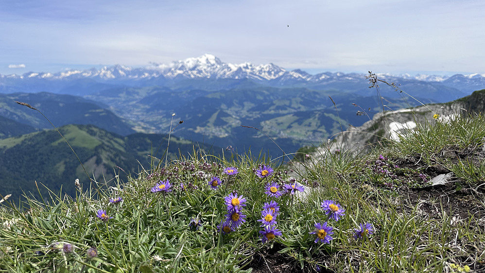 Mot Mont Blanc