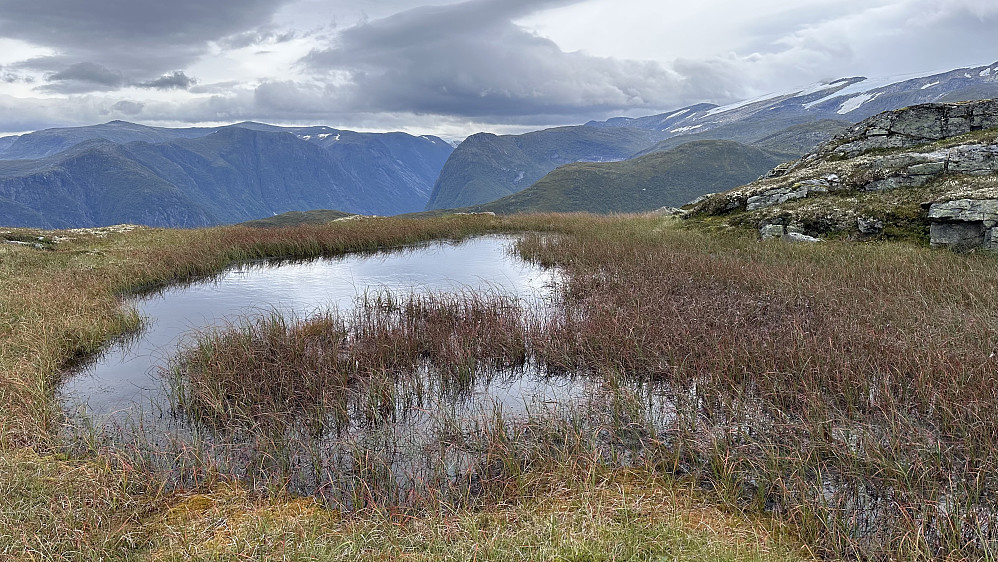 Haustfølelsen 