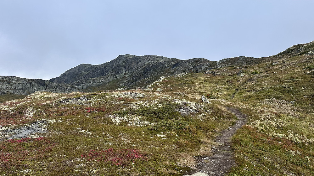 Godt trakka sti til toppen av Stølsnøse