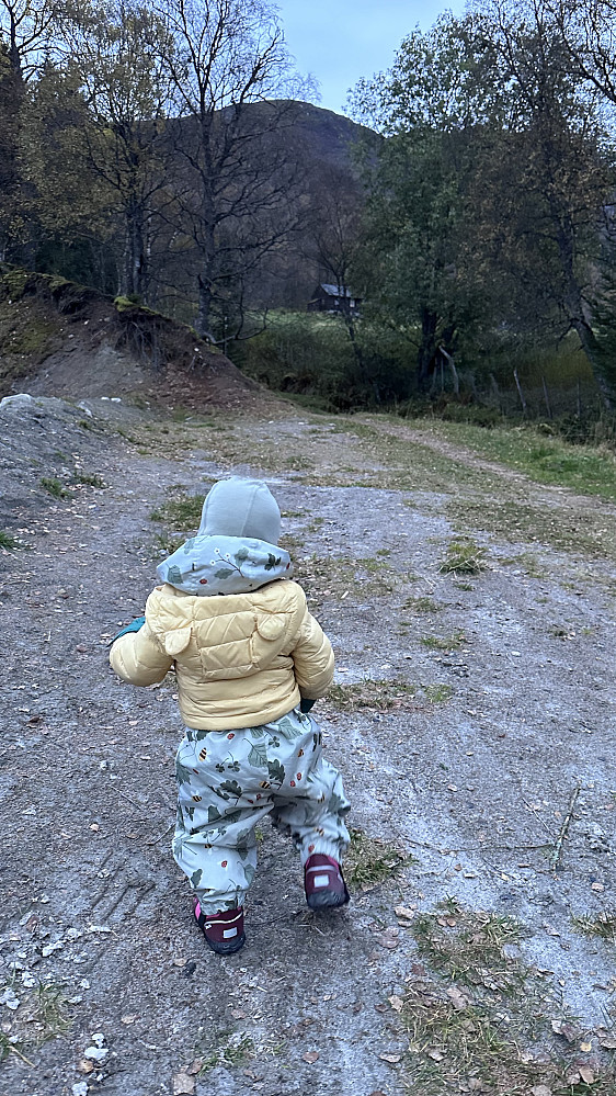 Nye skritt i ny verden! :)