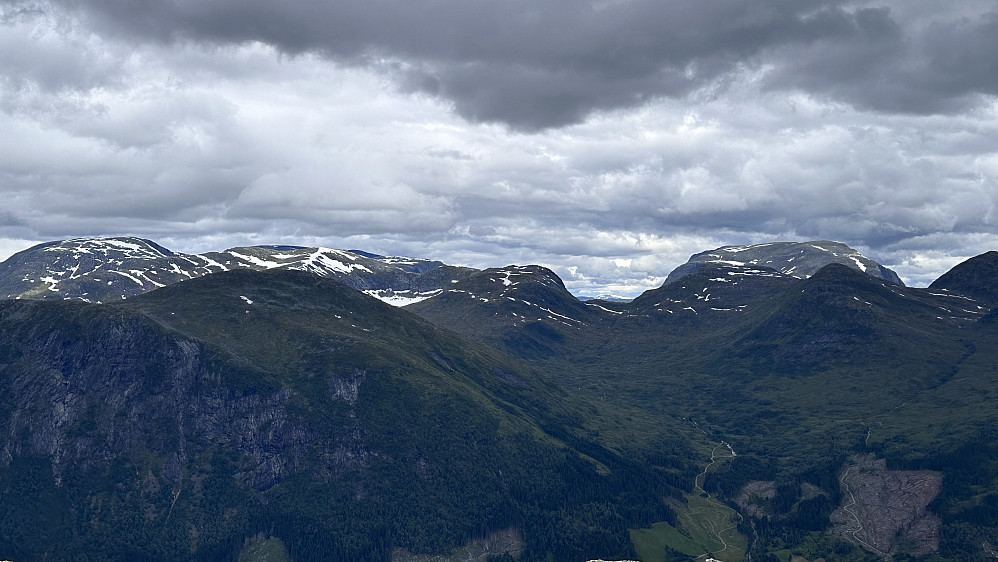 Mot Skjorta 1473