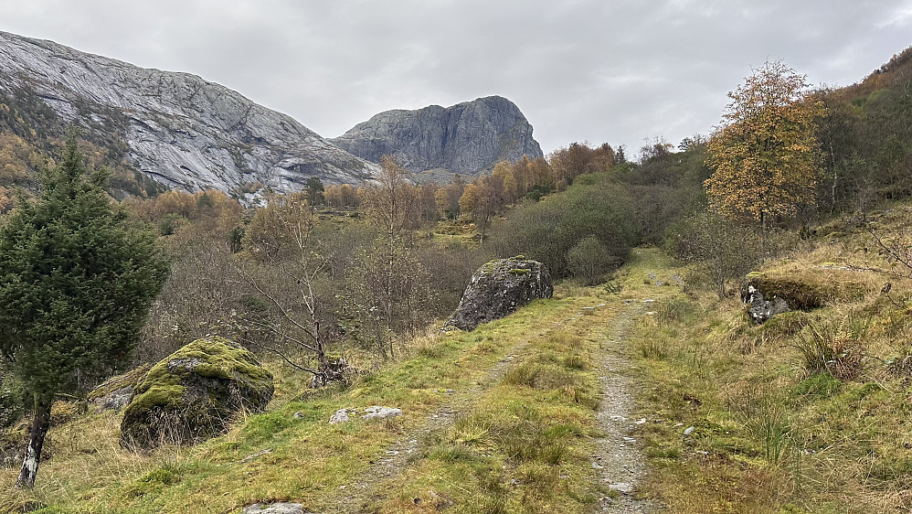 Høydalsnipa