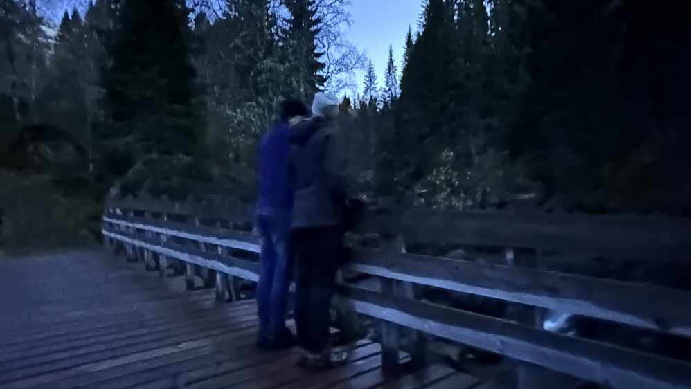 Stille og fint! :) Fått opna grindene før snøen og klar for skisesong i bakgården :)