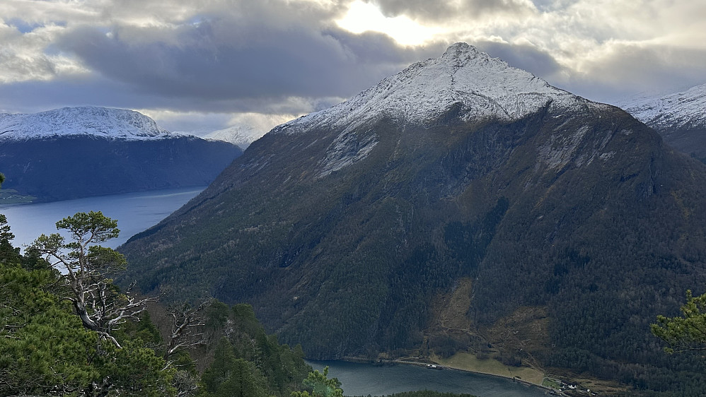 Ryssdalshorn har fått kvitkappa på ❤️