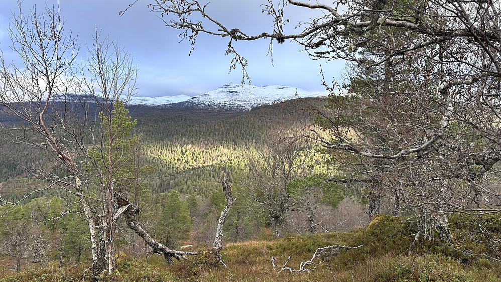 Ifrå toppen av Veten
