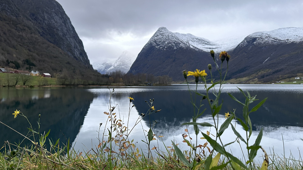 Det har frose på vegen og nydelig å fange resten av sommer minne! 