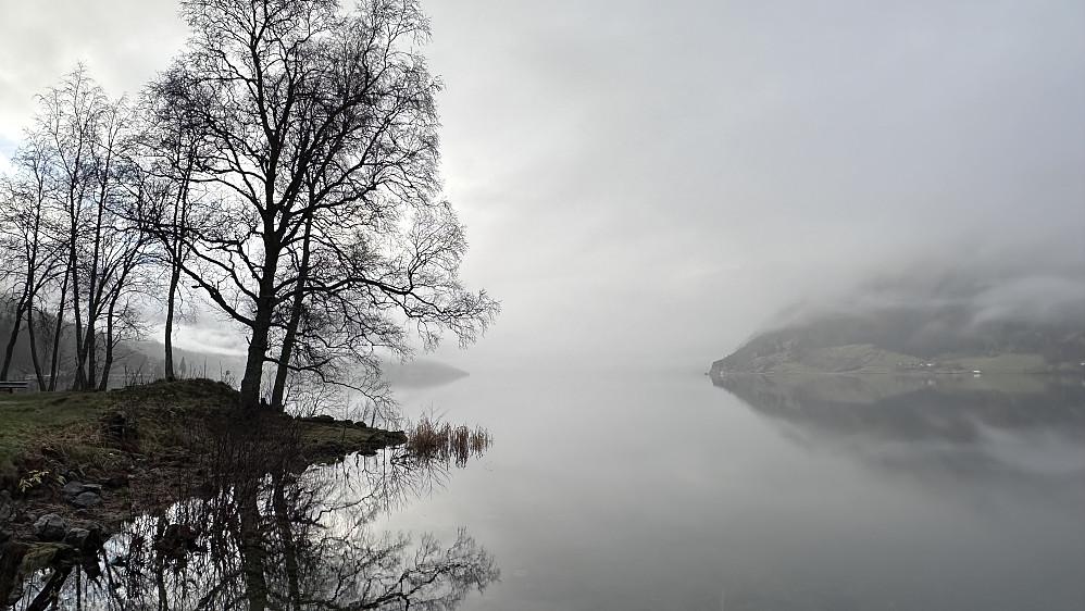 Stille og magisk ved Jølstravatnet