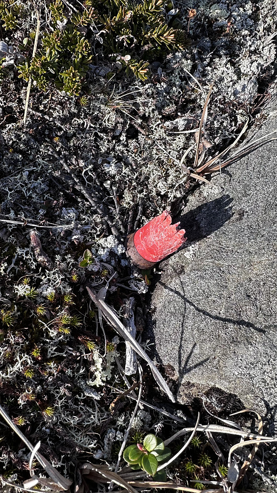 Jegere har også èin gjerejobb med plast i naturen!