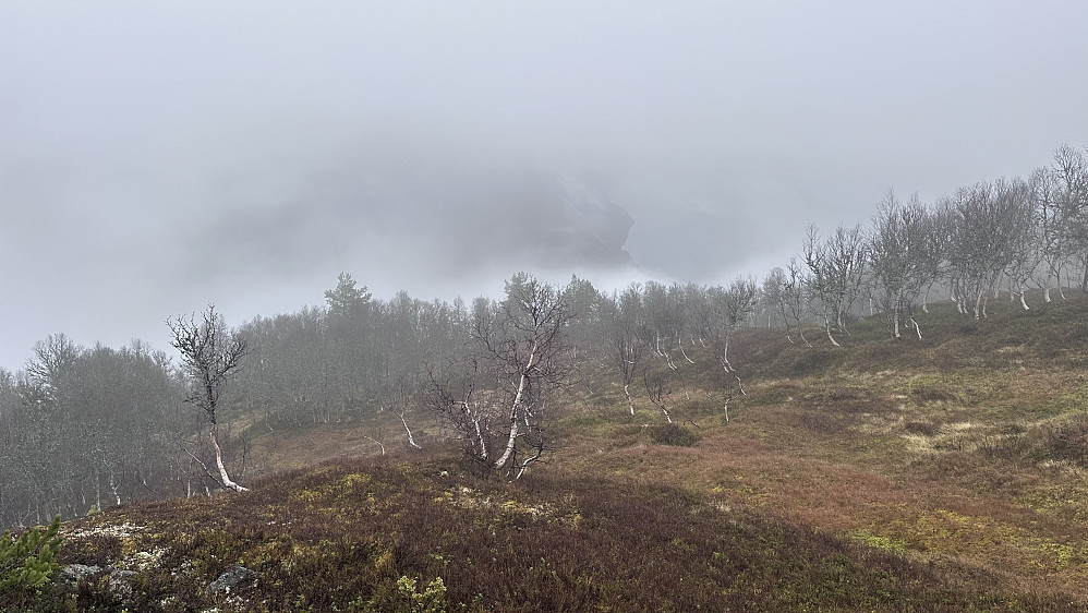 Skodda låg lett over fjellet idag! Men, det var opplett! 