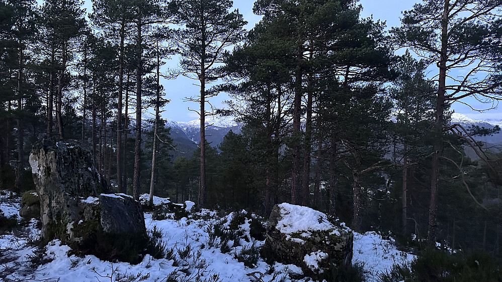 Ifrå mastetoppen Almeskila 