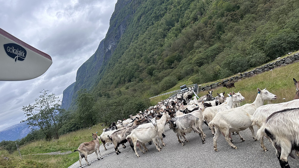 Til Undredal
