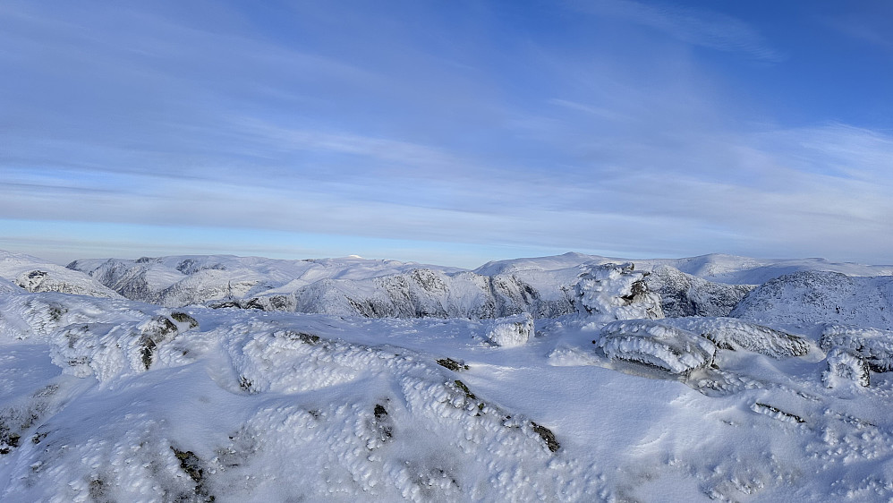 Snønipa troner bakerst