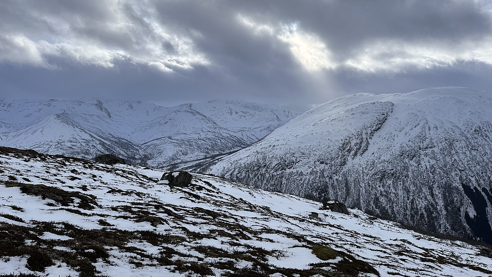 Minka fort på snøen med 7 plussgrader og regn 