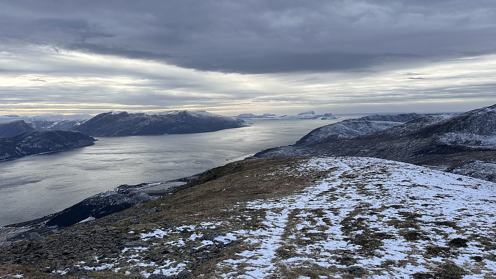 Fint terreng 