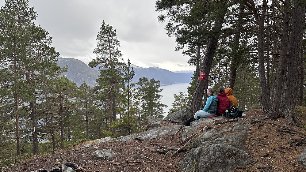 Fint å nyte turlivet, utsikta og det gode turfellesskapet på toppen av Amlaholten