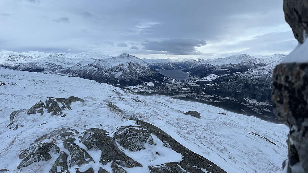 Rufsete på toppen av Eikåsnipa