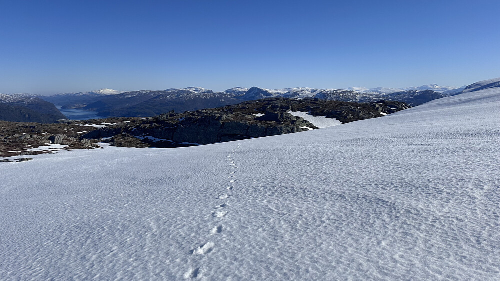 Fine snøfonner å trakke opp mot Korsbekkfjellet