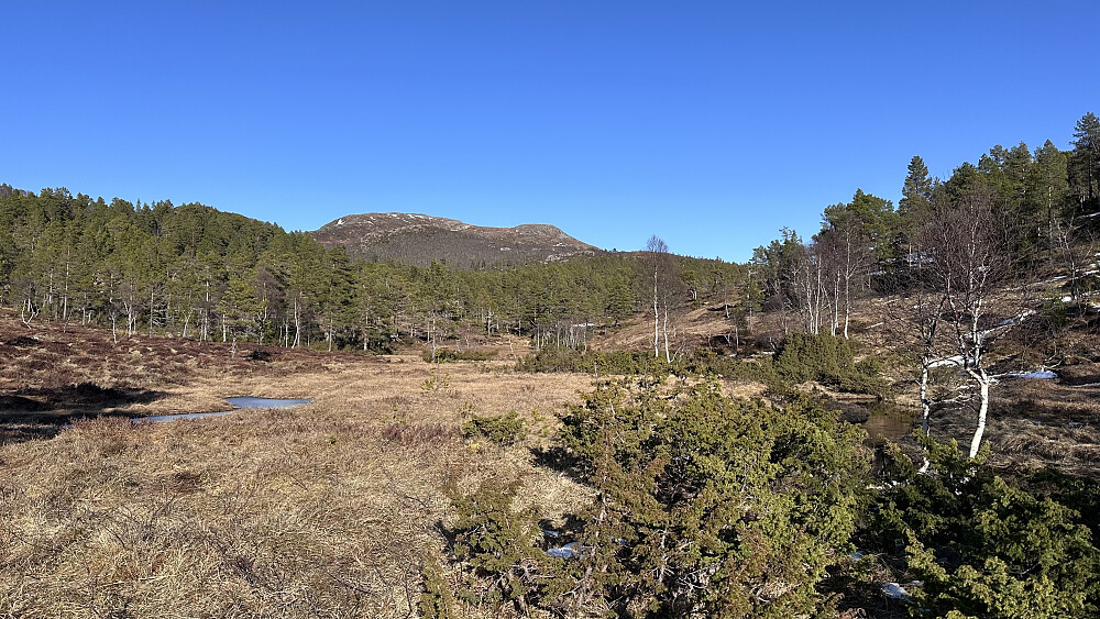 Tilbakeblikk opp mot toppen på Ertvågsfjellet