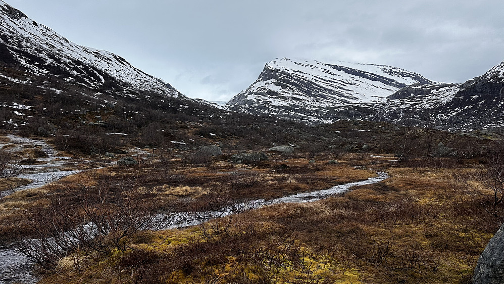 Inn mot Haugabreen imellom fjella, så vidt den synast.