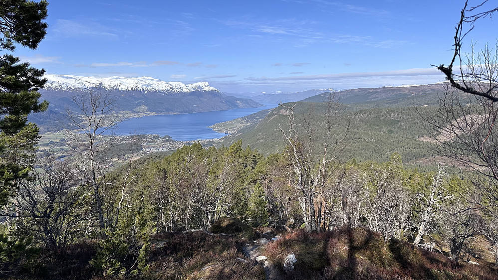Ifrå Veten mot Sandane &  Gloppefjorden