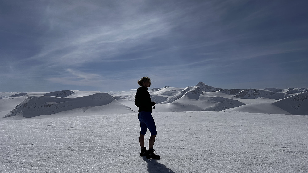 Ifrå toppen av Svartefjellet 1808 med Lodalskåpa i bakgrunn!
