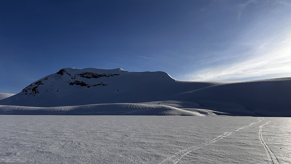 Takk for meg❤️Eg har prøvd å være aktsom for å få lov til å nyte naturen og mangfaldet her inne i Jostedalsbreen nasjonalpark som betyr så uendelig mykje.