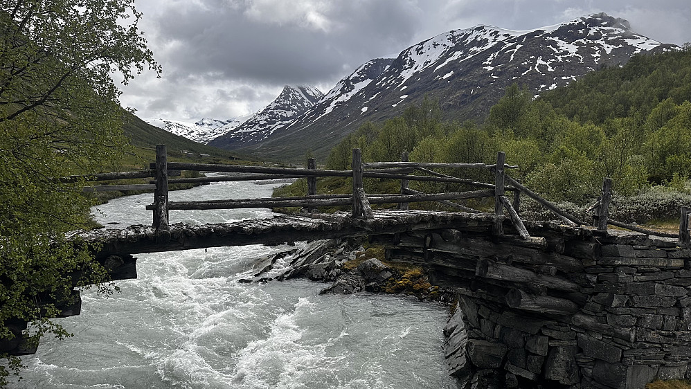 Bru og natur til nytelse! 