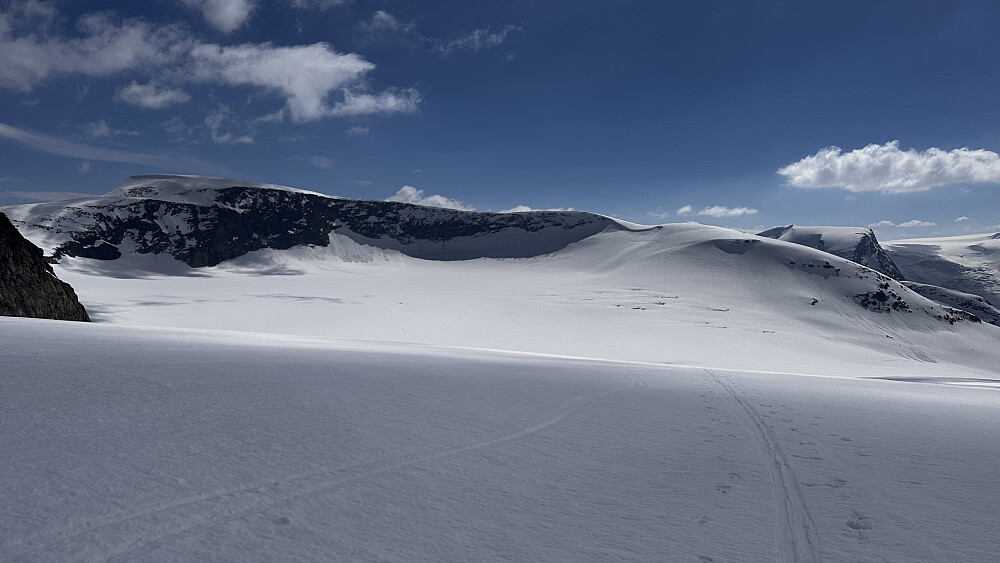 Vilt og flott