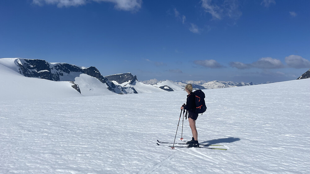 Breen ved Bings Brekuppel