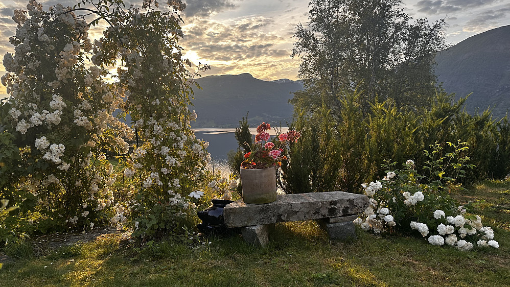 Nydelig å nyte resten av sommerkvelden i egen hage! ❤️