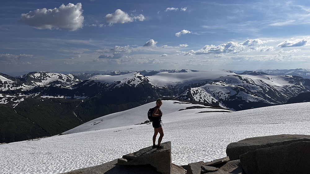 Det nytast med eit fantastisk skue og terreng ifrå toppen av Eldedalsbreen