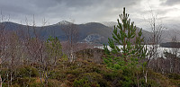 janlan_20230302_640088d44a673.jpg