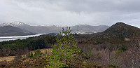 janlan_20230302_640088d63eae6.jpg