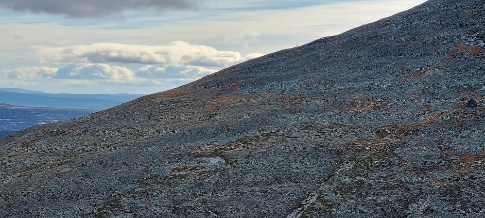 "Maur" på vei opp Skogshornstigen