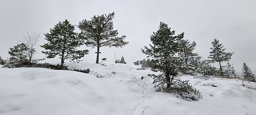 Snø på toppen