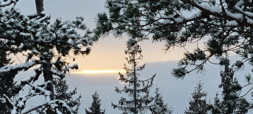 Soria Moria Drøbak?