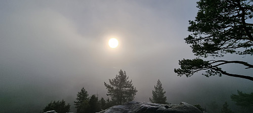 Sol et sted der ute