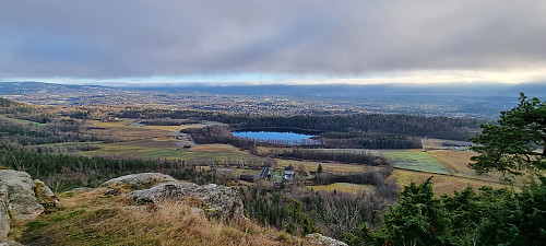 Gråmagan mot Dælivann