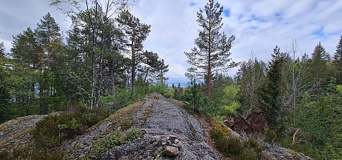 Kolsås NØ